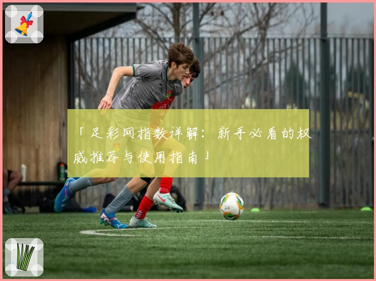 「足彩网指数详解：新手必看的权威推荐与使用指南」