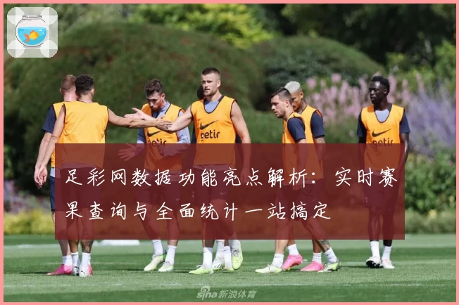 足彩网数据功能亮点解析：实时赛果查询与全面统计一站搞定