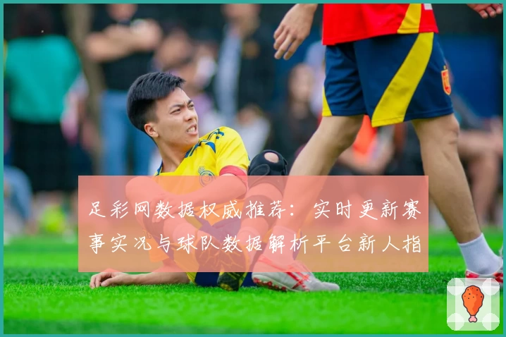 足彩网数据权威推荐:实时更新赛事实况与球队数据解析平台新人指南